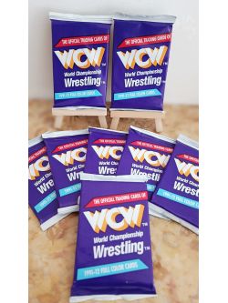 Booster WCW - World Championship Wrestling 1991